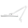 LED Laualamp ELEGANTE RED LINE 801-TLO valge