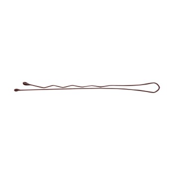 Laines juukseklambrid vasksed E-58 120tk.