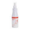 Instrumentide puhastus- ja desinfektsioonivahend CHEMISEPT SPRAY 250ml