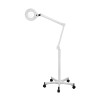 LED Luuplamp põrandajalal