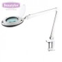 BEAUTYFOR Lauakinnitusega LED-pirnidega luuplamp ”6017”, 9W